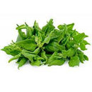 Epinard - Spinach /Bunch