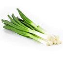 Onion Leeks - Poireau /Bunch