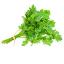 Celery - Celerie /Bunch