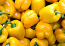 Yellow Pepper / Poivron Jaune / 1pc