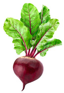 Beet - Betterave / A bunch