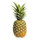 Pineapple - Inanasi - Ananas /Pc