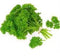 Parsley - Persil /Bunch
