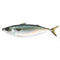 Thomson Fish - Ifi ya Thomson 1kg - Free Delivery – Amahaho