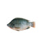 Tilapia Fish - Ifi ya Tilapia 1kg